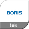BORIS__PARTENAIRE_INTEGRATION_ICONE